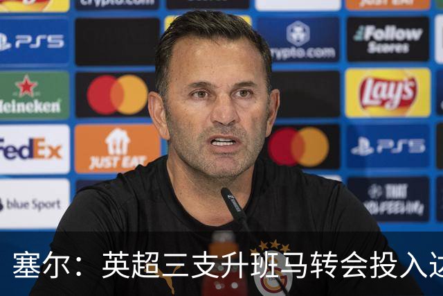 塞尔：英超三支升班马转会投入达3.4亿，西甲升班马总计仅3500万